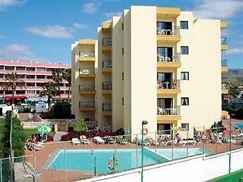Ficus Playa Del Inlges 플라야 델 잉글스