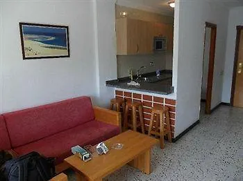 Ficus Playa Del Inlges * 플라야 델 잉글스