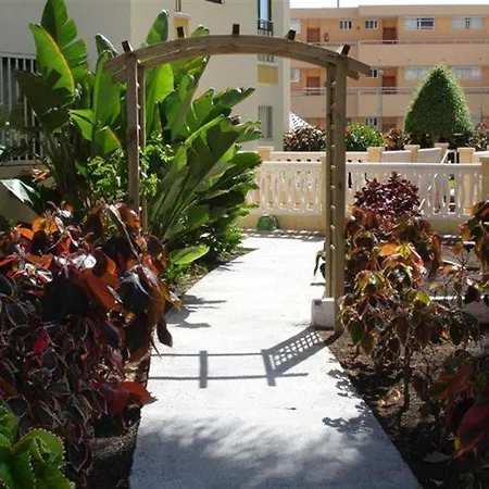 Ficus Playa Del Inlges * 플라야 델 잉글스